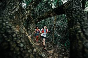 BIB: 
                            <button type="button" onclick="openModal(25392365)" class="btn btn-primary btn-sm float-right btn-popup" data-toggle="modal" data-target=".modal-high-quality">
                        <i class="fas fa-shopping-cart"></i> Add to Cart
                    </button>
                                            <button type="button" onclick="isThisMe(25392365, true)" class="btn btn-success btn-sm float-right btn-popup btn-isme hidden" data-toggle="tooltip" data-placement="bottom" title="นี่คือรูปของคุณใช่ไหม คลิกที่นี่เพื่อเอาเข้าอัลบั้ม">
                        <i class="fas fa-plus"></i> Add to album
                    </button>
                    <button type="button" onclick="isThisMe(25392365, false)" class="btn btn-warning btn-sm float-right btn-popup btn-isnotme hidden">
                        <i class="fas fa-ban"></i> Remove from album
                    </button>